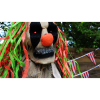 Haunted Hill Farm HHCLOWN-15FLSA - 7